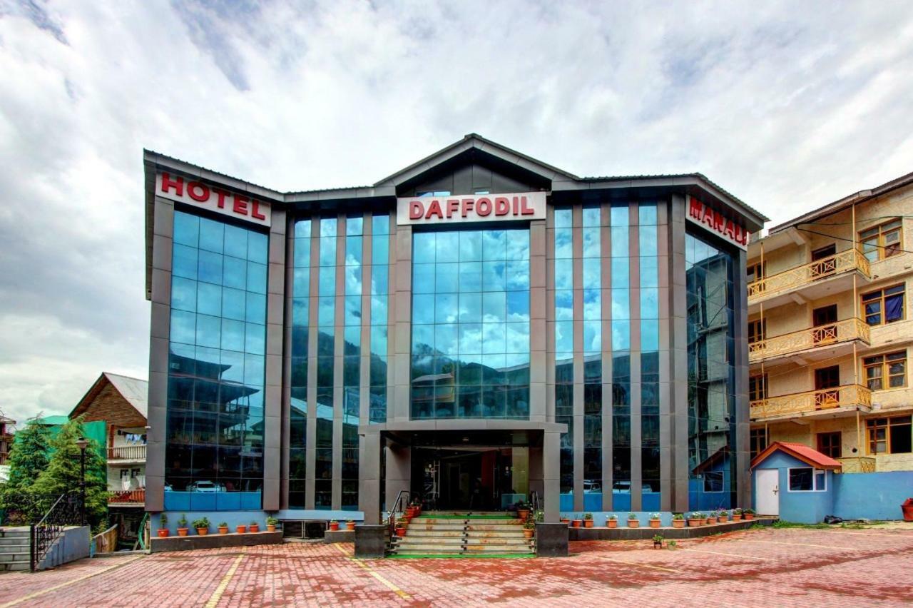 Hotel Daffodil - Manali (Himachal Pradesh) — Photos 3